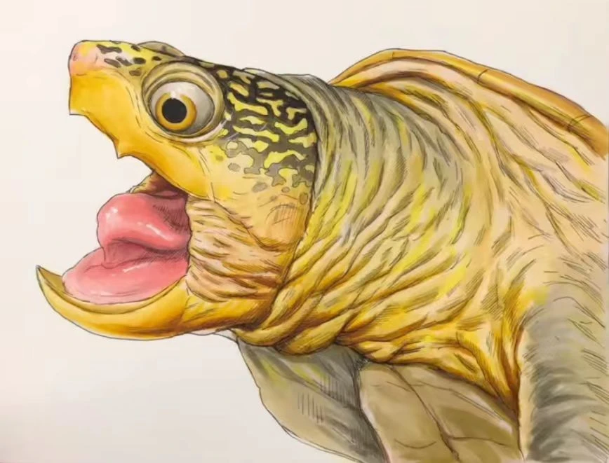 直播专用直播专用直播专用