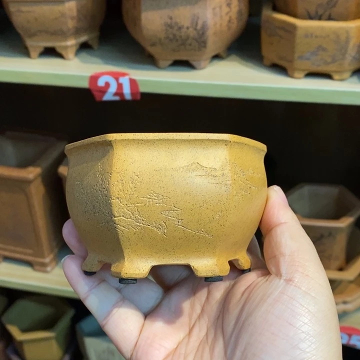 紫砂花盆紫砂文化