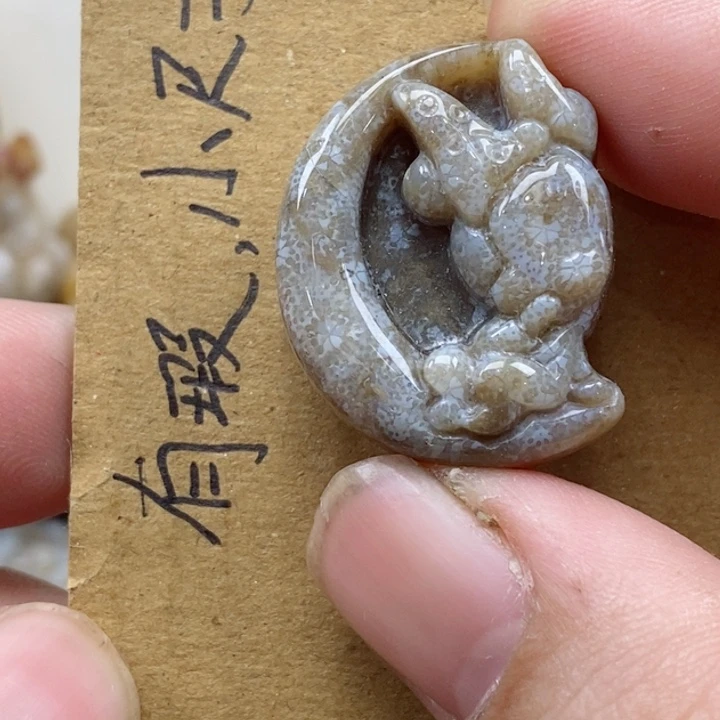 颈饰未镶嵌硅化珊瑚（珊瑚玉）