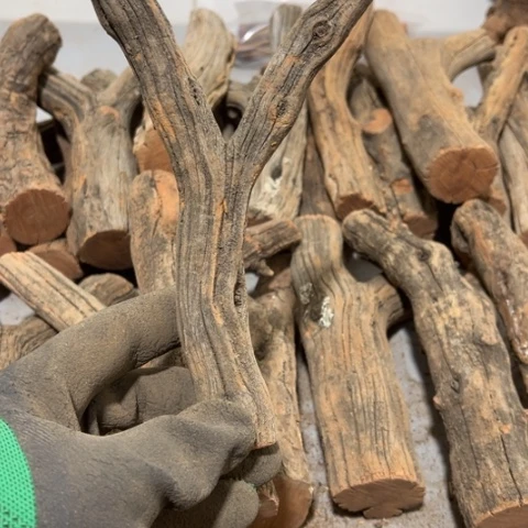 大果紫檀（缅甸花梨）夏*