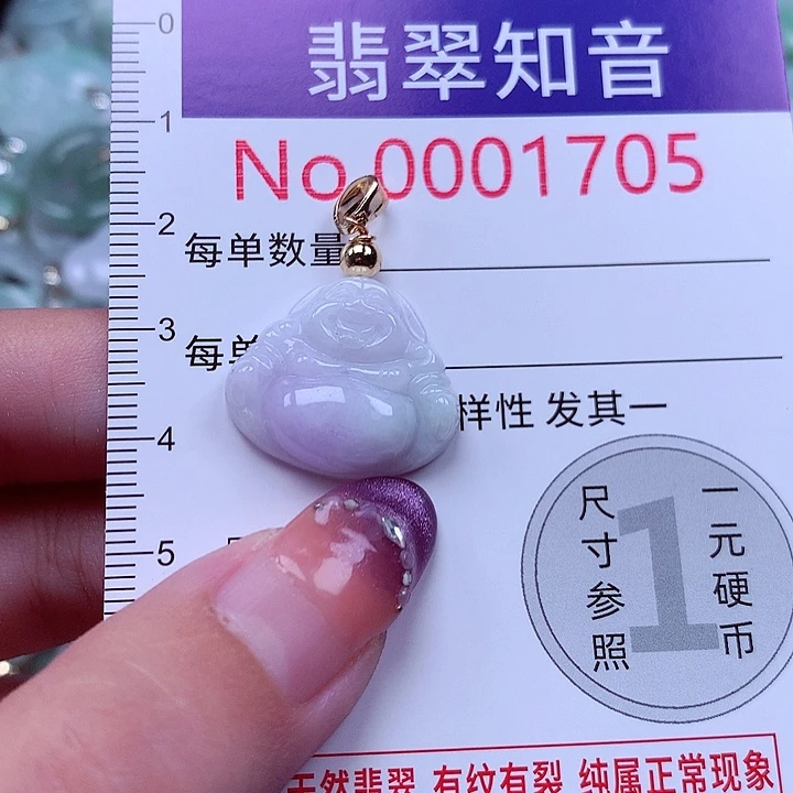 翡翠未镶嵌颈饰1705