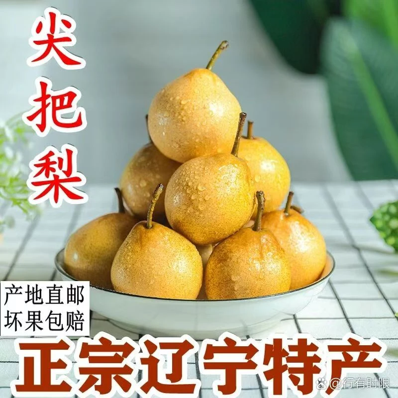 辽宁尖巴梨 鲜梨 冻梨 酸甜可口果肉细腻 原产地直发