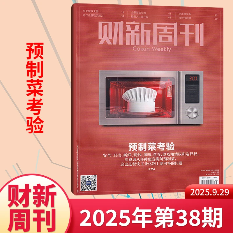 财新周刊杂志【每期更新】2025年商业财经新闻金融咨询类期刊杂志