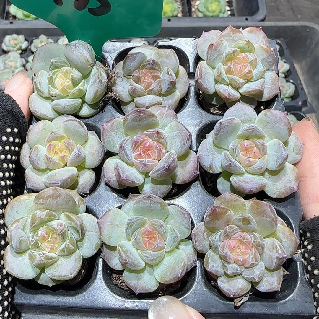 135哈哈哈哈哈哈哈哈哈哈哈