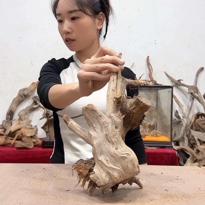 柏木弘**艺我们的生活也