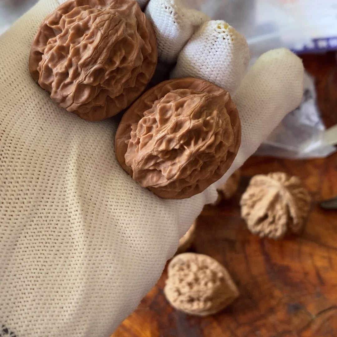 秦岭野生核桃金公子