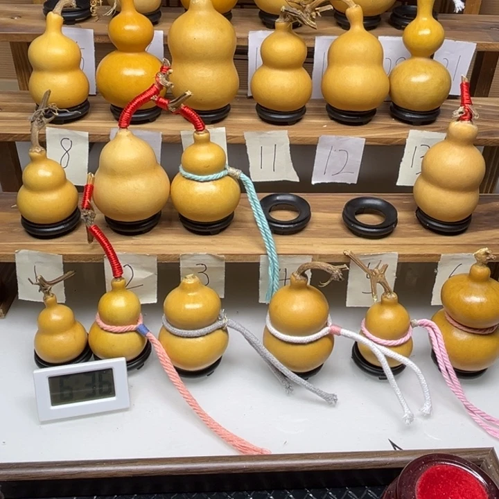 D***G啦啦啦啦啦啦啦啦啦