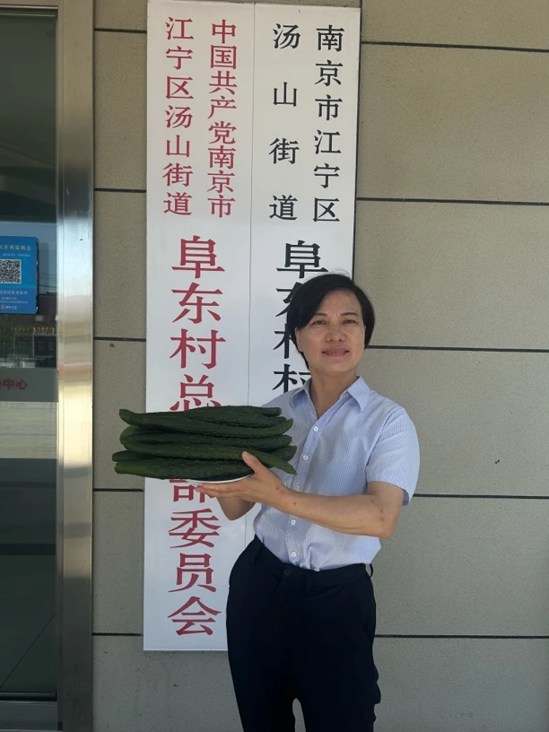 【阜东村农场刺黄瓜】阜东村农场刺黄瓜鲜甜脆嫩 3 斤包邮