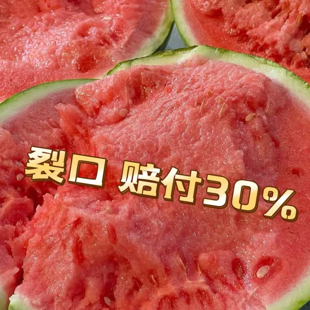 【一颗装】盘个瓜 江苏盐城  东台麒麟瓜 运输造成的裂口，赔付30%