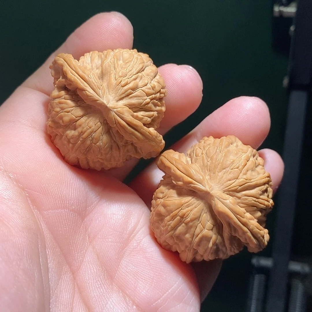 把件文玩核桃42白狮子全品