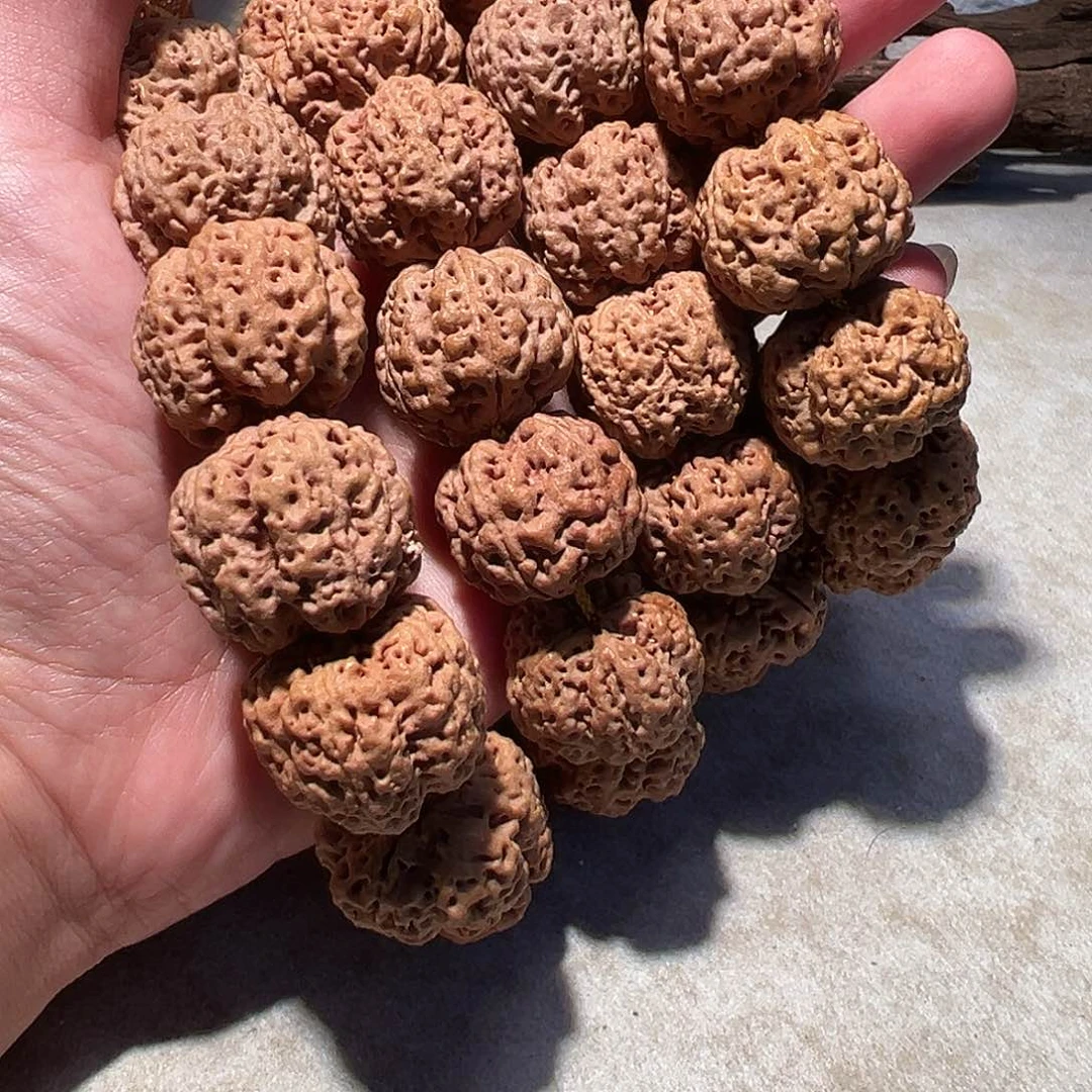 金刚菩提手串24尺寸左右平头粗肉蜂窝福利