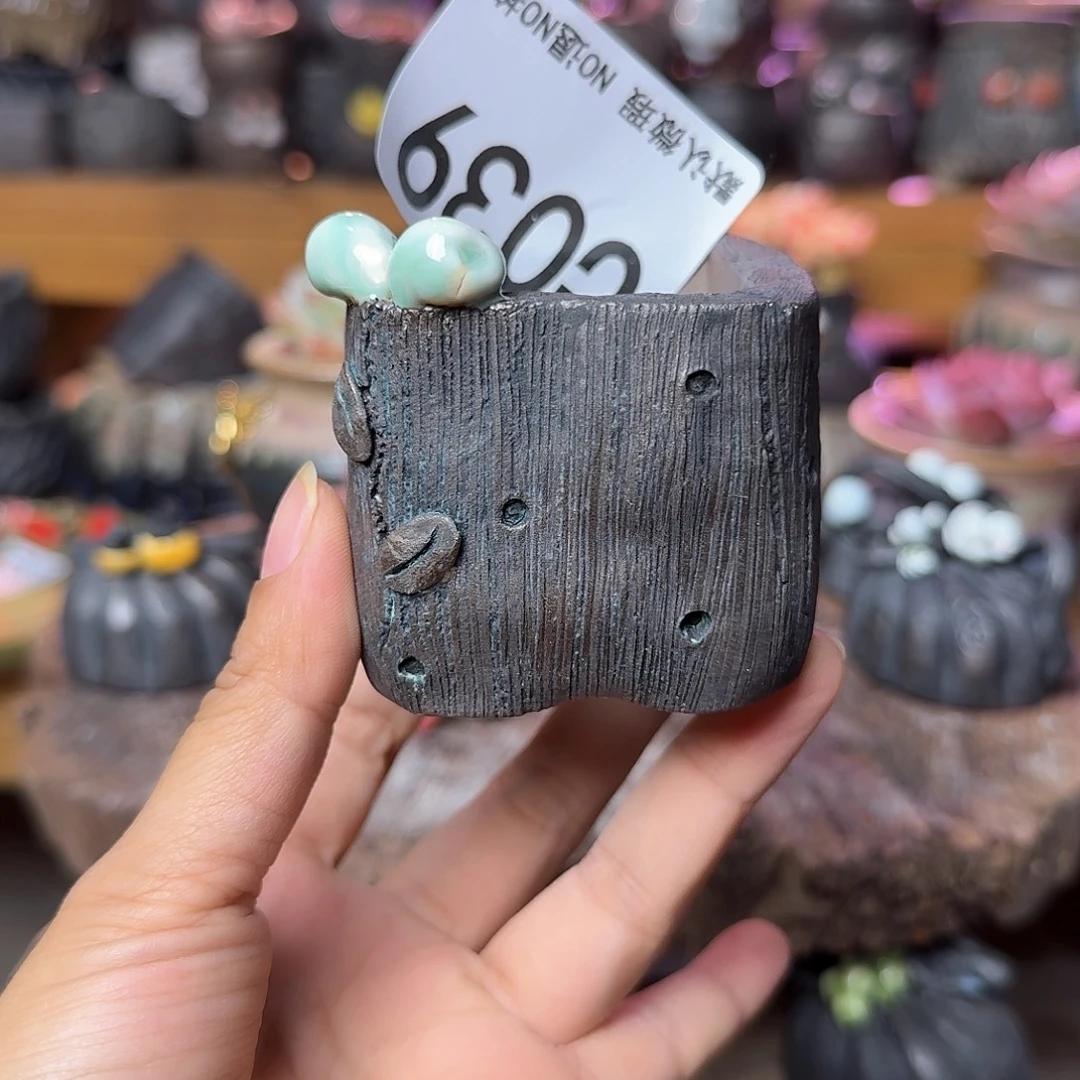 重庆小燕子欢迎大家039