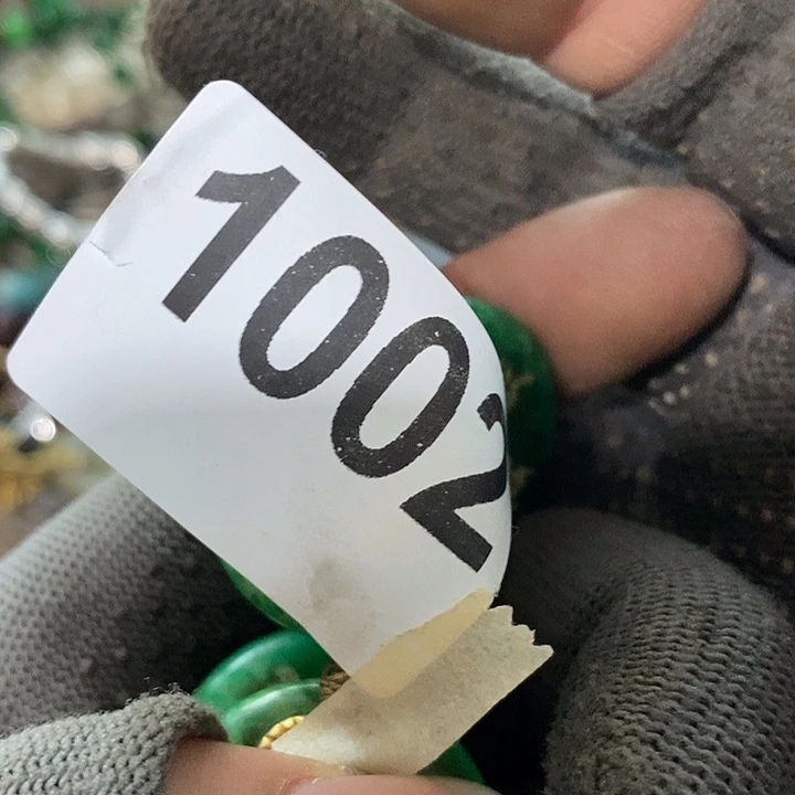 暖*光明的未来发展潜力1002