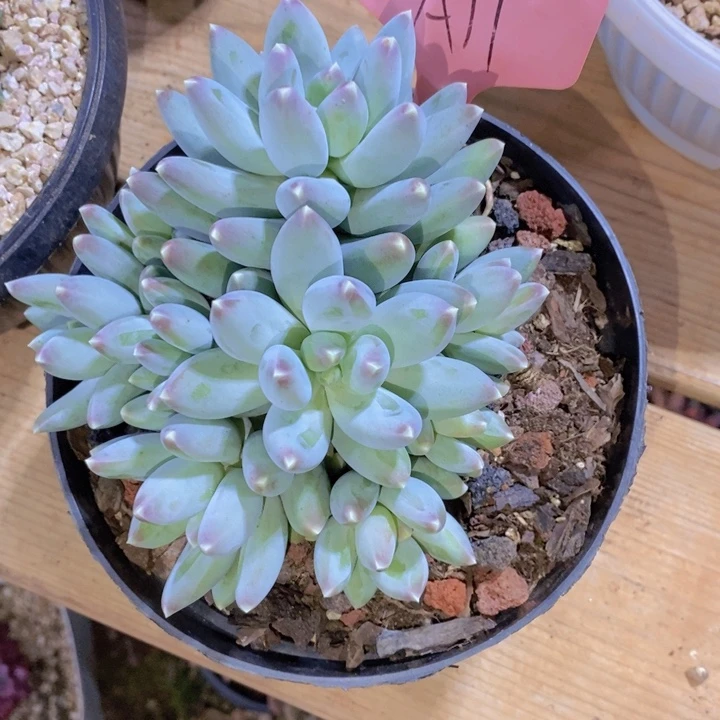 你要吃就去拿去咯