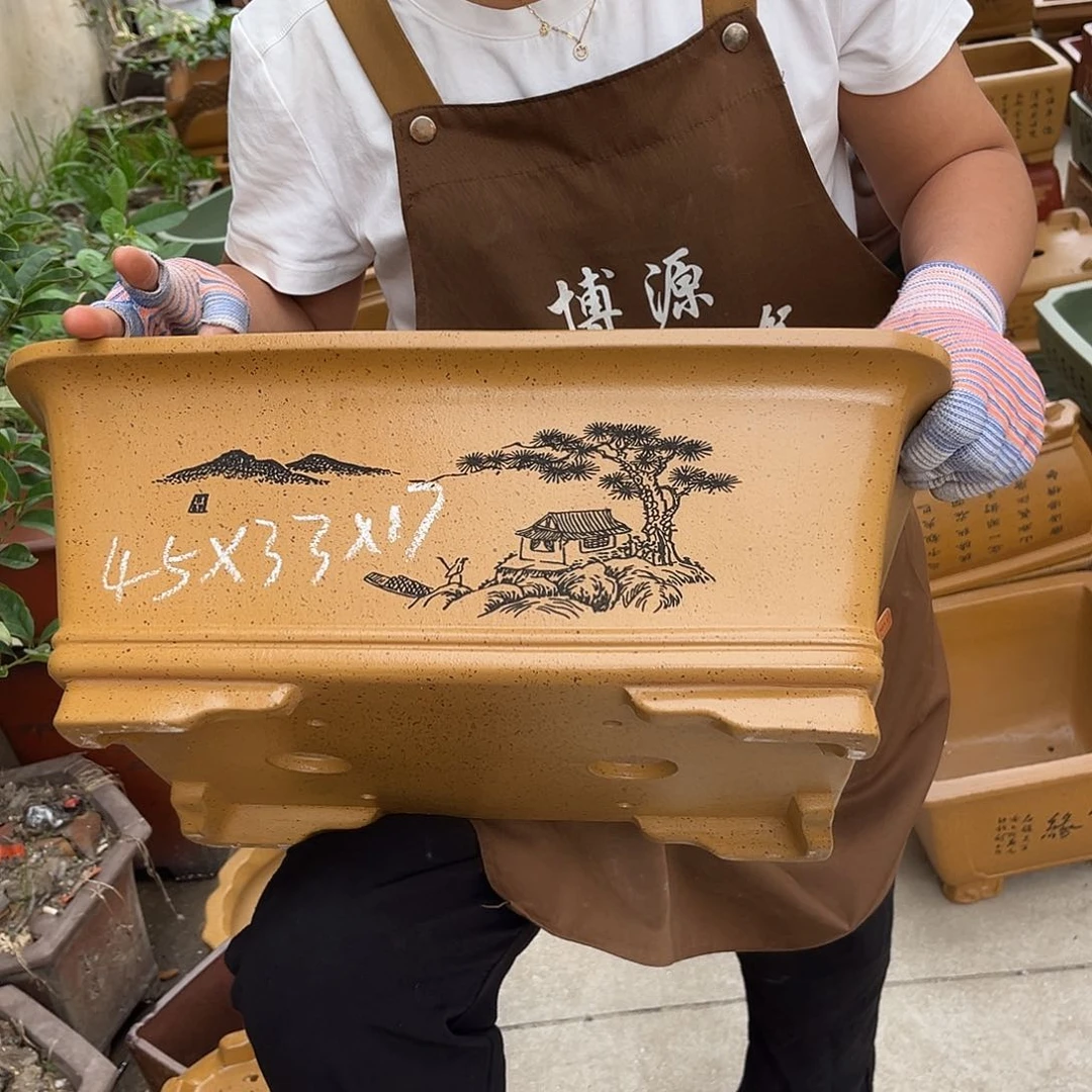 紫砂花盆盆景艺术