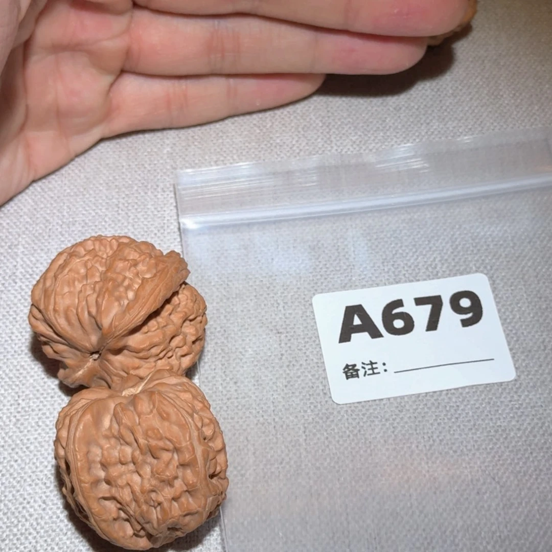 文玩核桃吊坠白狮子679