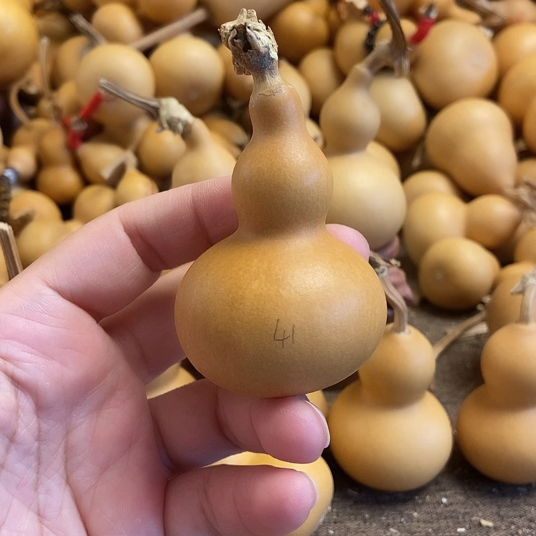 文玩葫芦 完美主义者 慎拍41