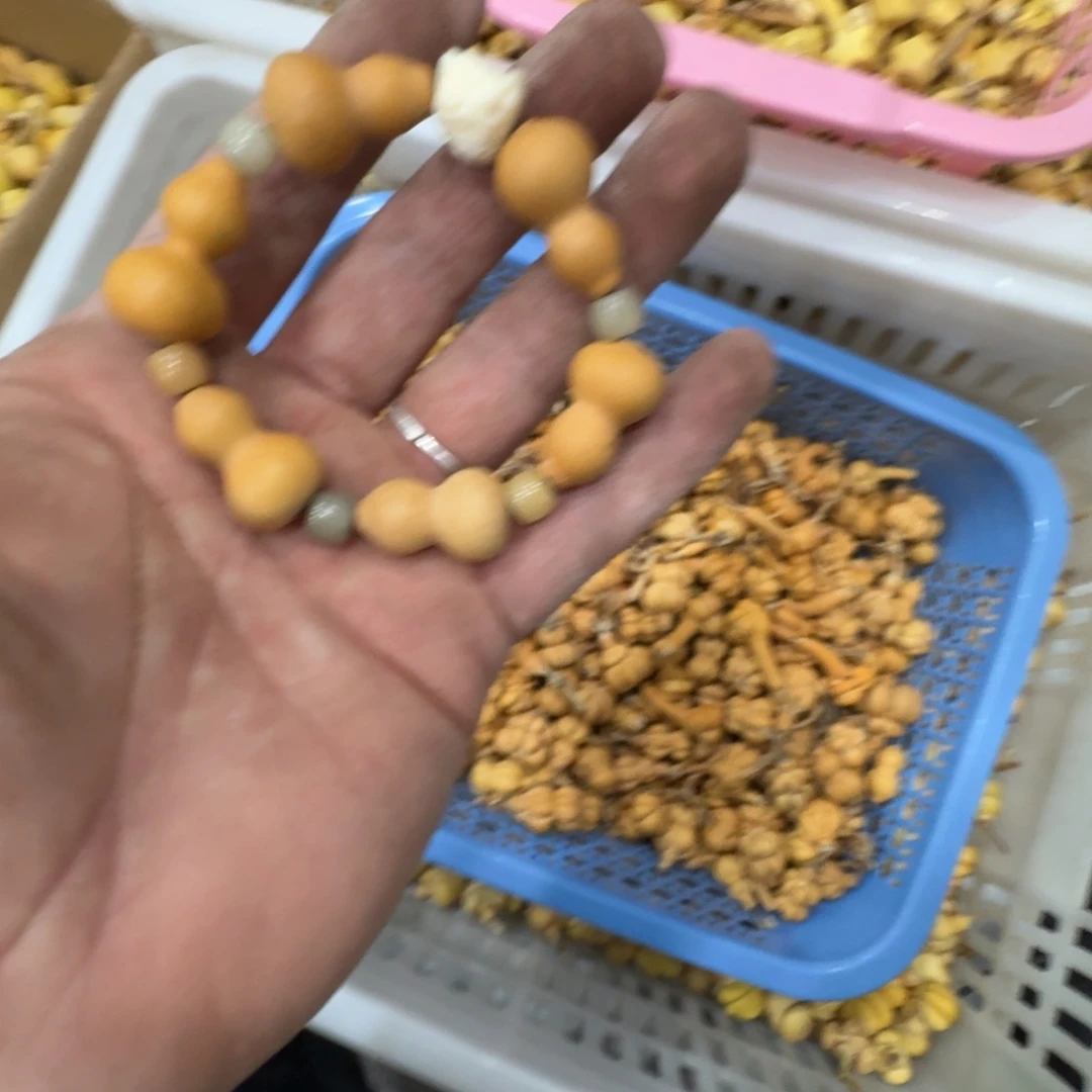 秋***节葫芦1111111111111