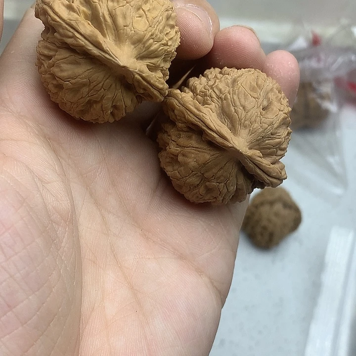 文玩核桃吊坠39 水龙纹