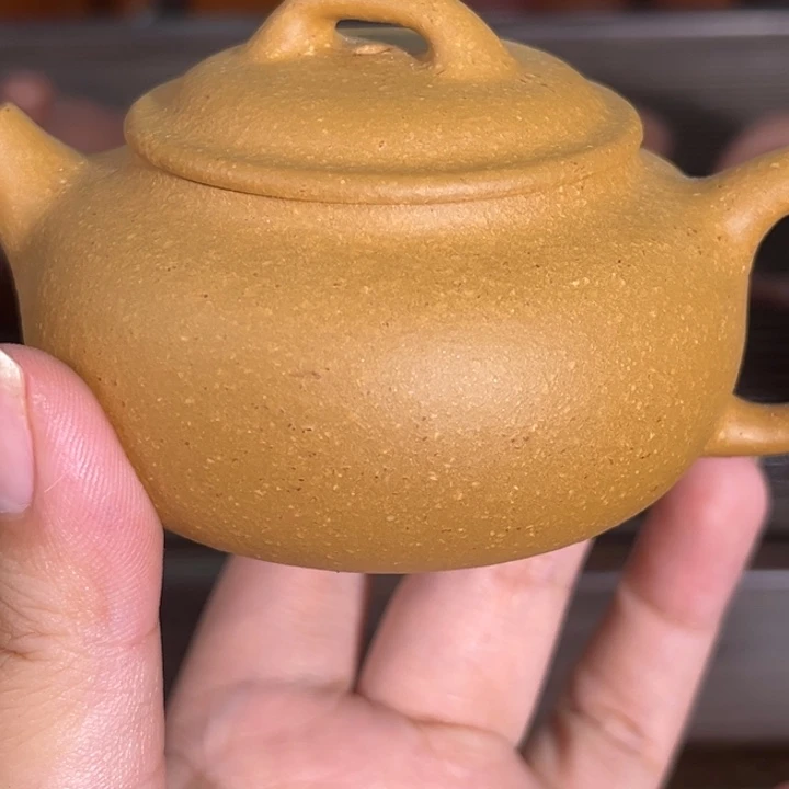 茶壶紫砂紫砂……………………