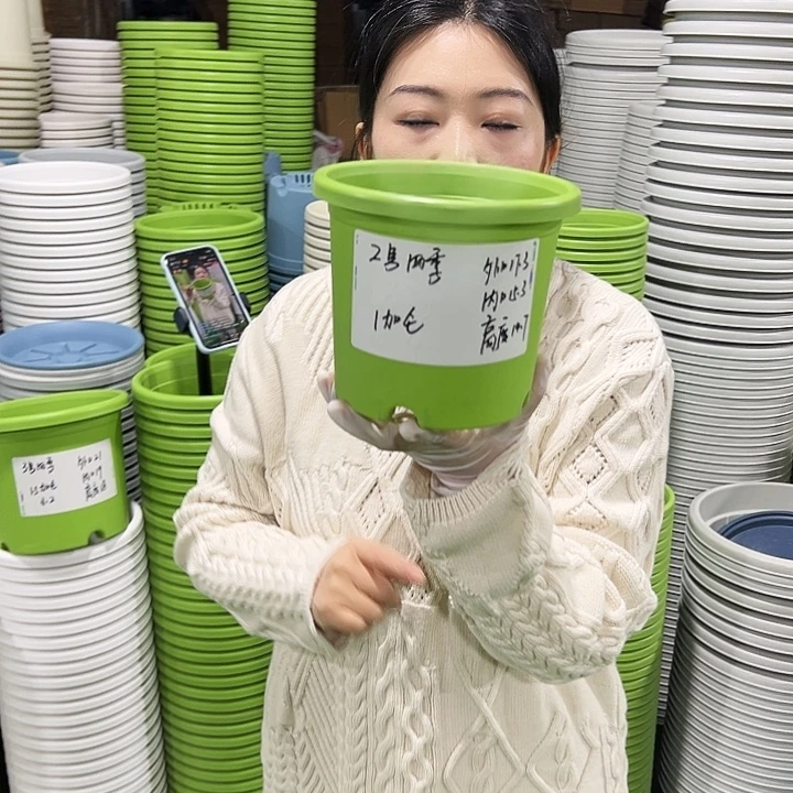 特价2号四季口17高15白色10只无托