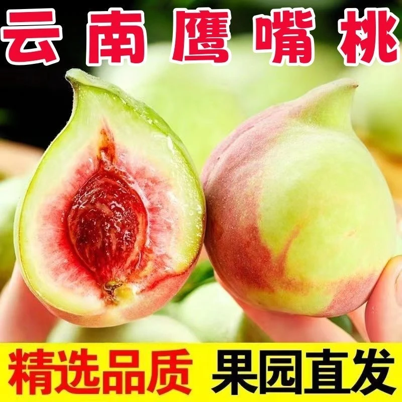 云南蒙自正宗鹰嘴桃新鲜现摘脆甜树上熟孕妇水果