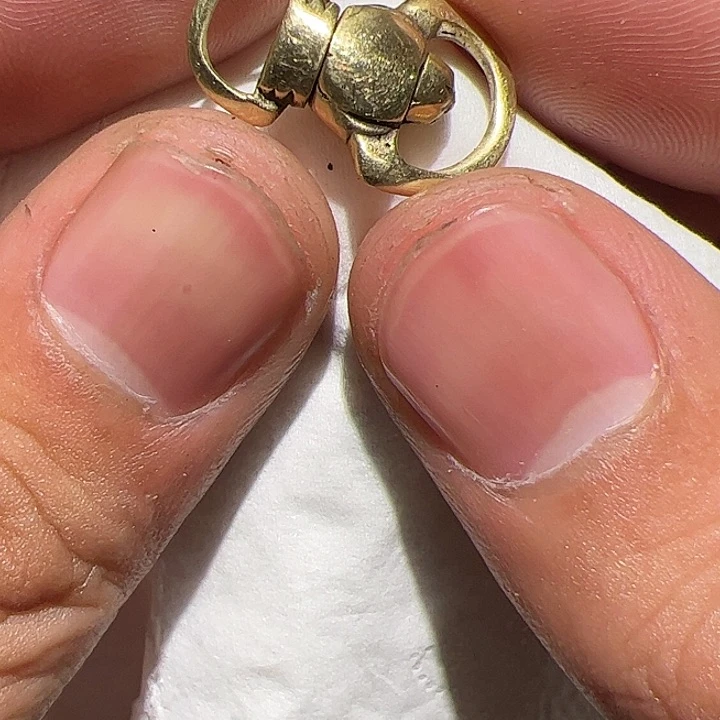 香榧木在家了一个