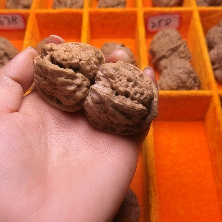 骁***战涞水山地果蛤莫头