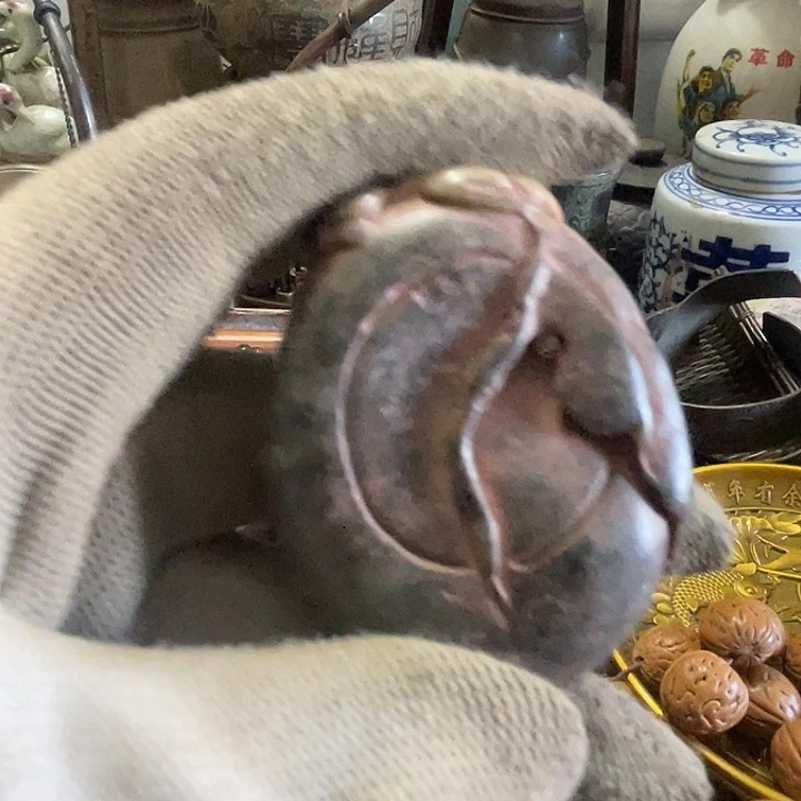 远***7多阳专属链接0808