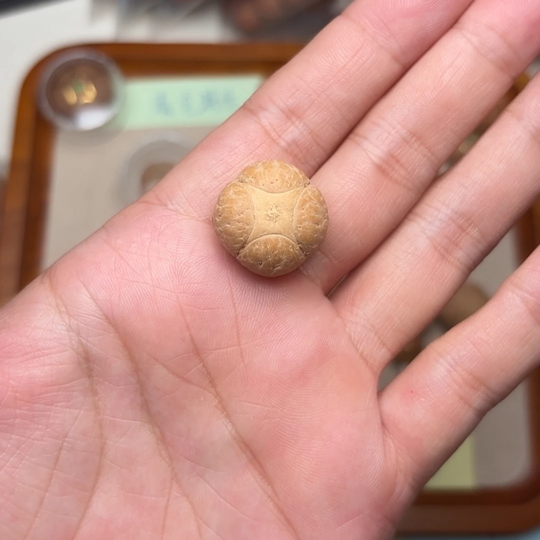 Y***.凤眼菩提手串麒麟三通20