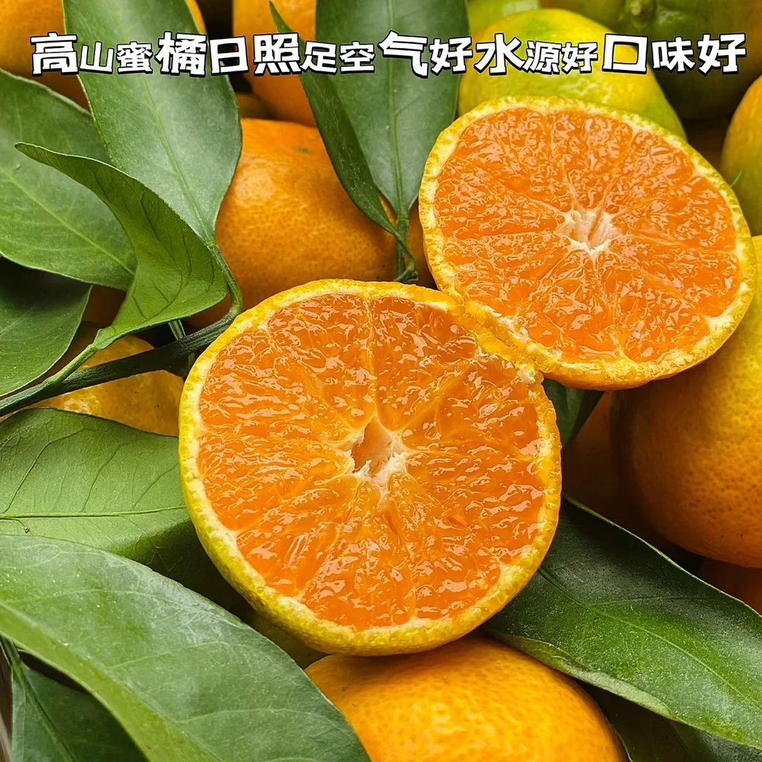 【众彩优选】福建“红土高山蜜橘”新鲜橘子无籽多汁 散称3/5斤