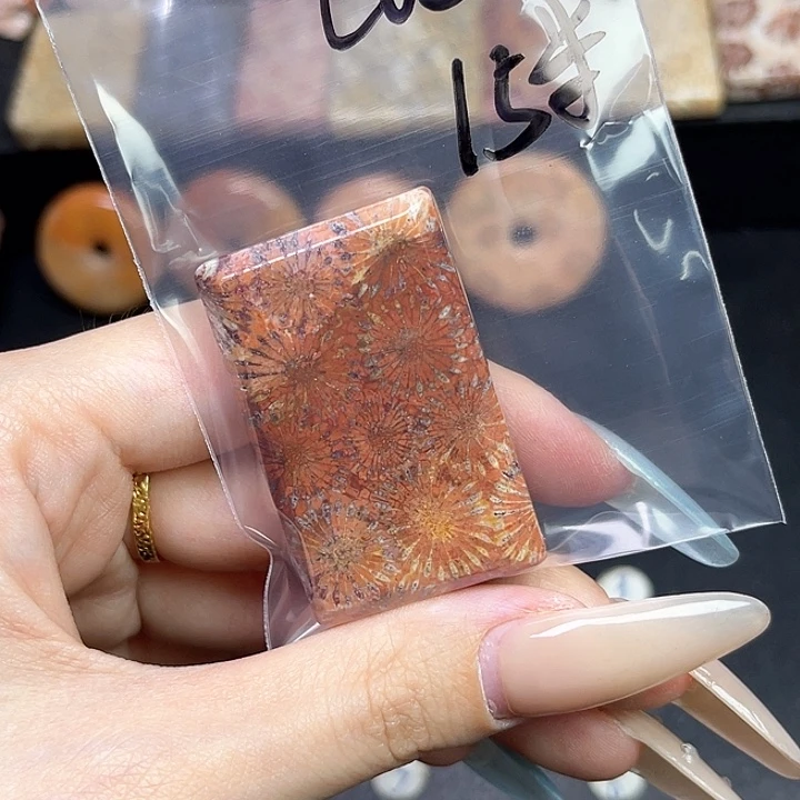 未镶嵌吊坠硅化珊瑚（珊瑚玉）