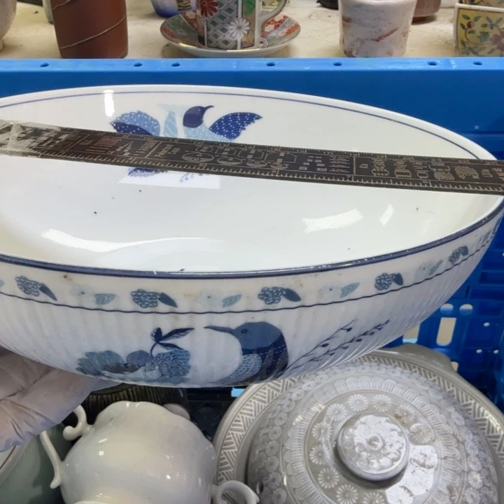 瓷片开播啦….开播啦！