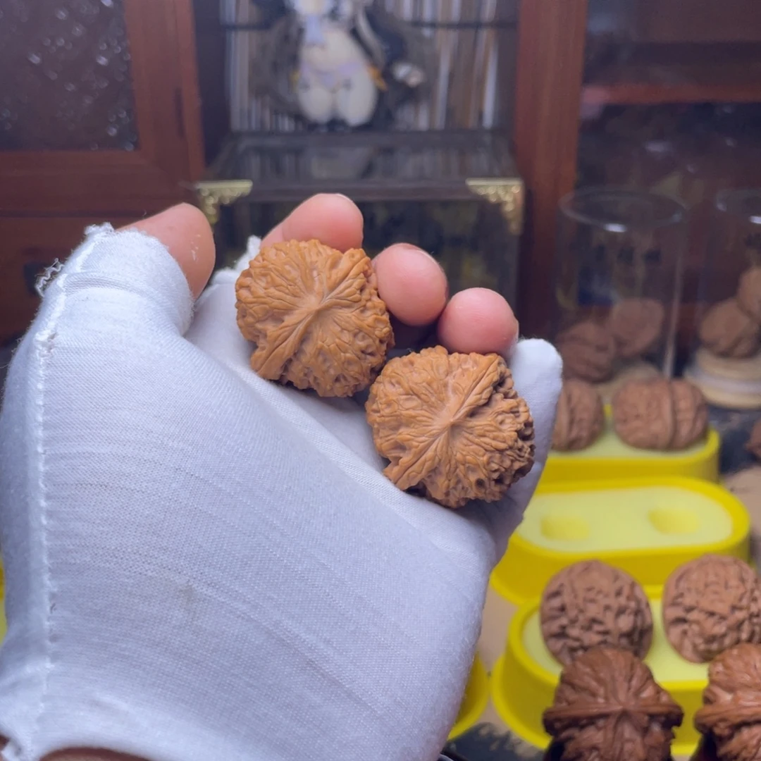 39全品龙胆元宝未打底