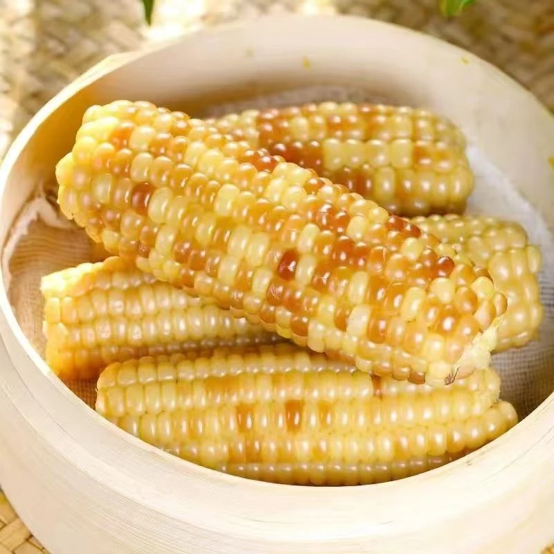 （小丫家）云南西双版纳香糯小玉米加热即食甜软低脂粗粮早餐