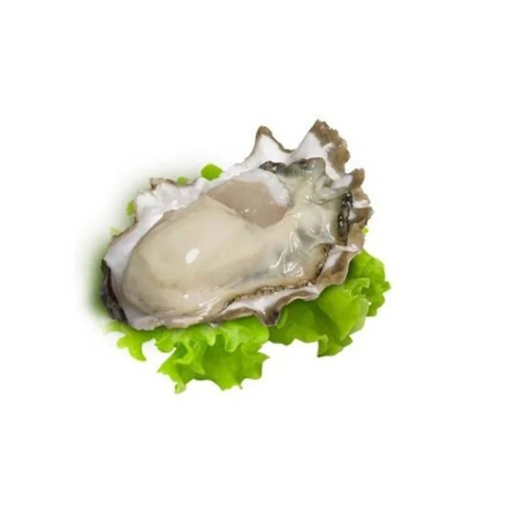 鲜活 乳山生蚝12只装 默认发活！！特殊要求请备注