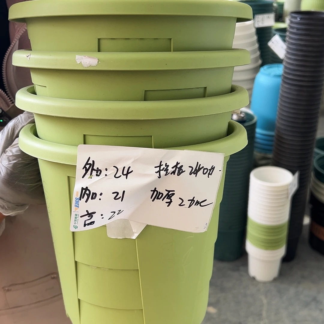 玫瑰240#果绿色5个无托