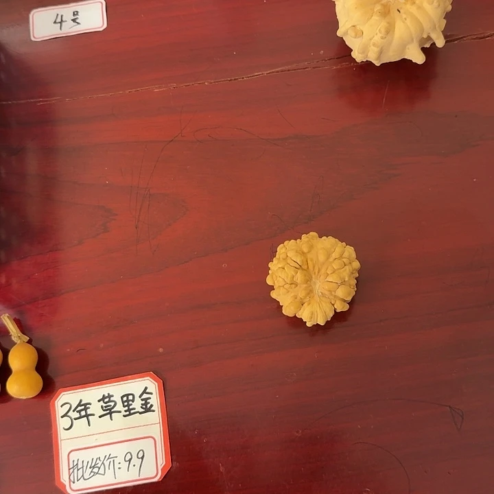 *****连体疙瘩连体疙瘩