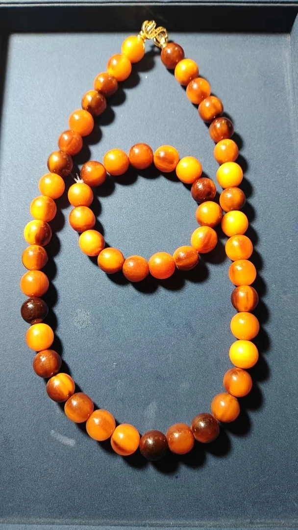 雪山重楼黄J胆套装六1441