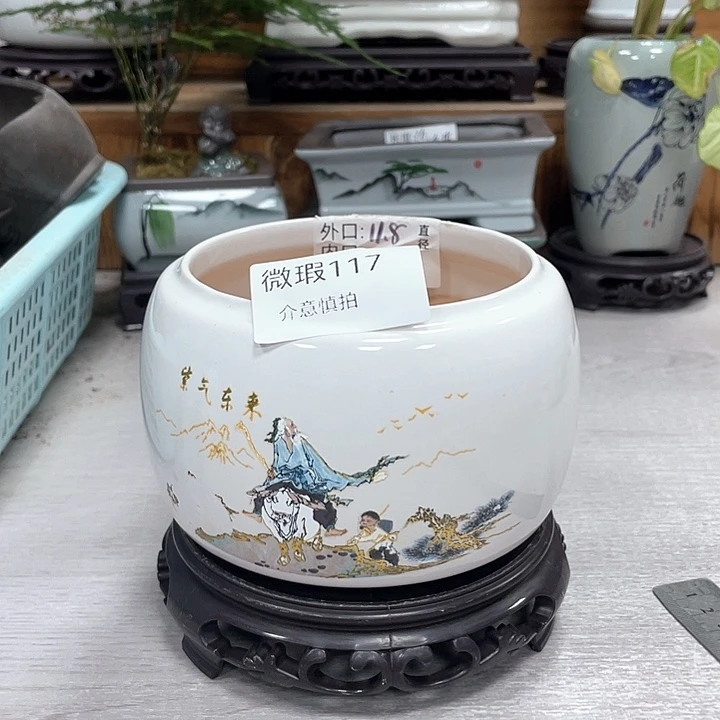 陶瓷花盆抢购福利紫砂花盆