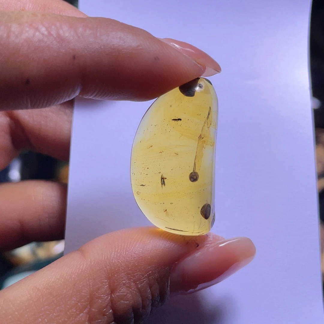 琥珀裸石未镶嵌植**生？