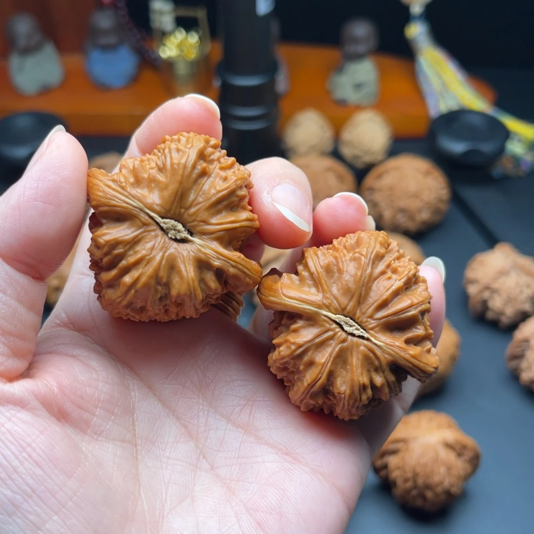 张***）把件文玩核桃42白狮子打底