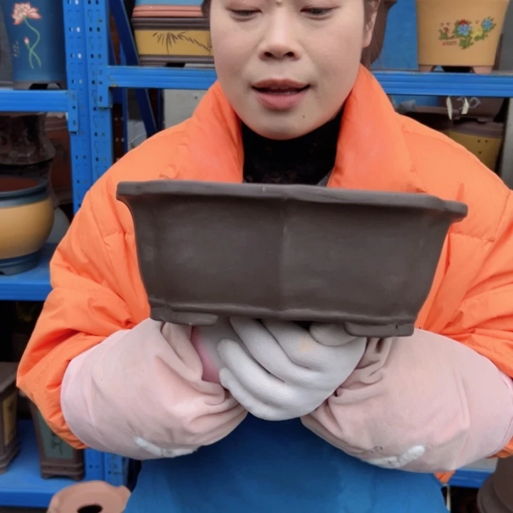 花盆花盆花盆花盆花盆