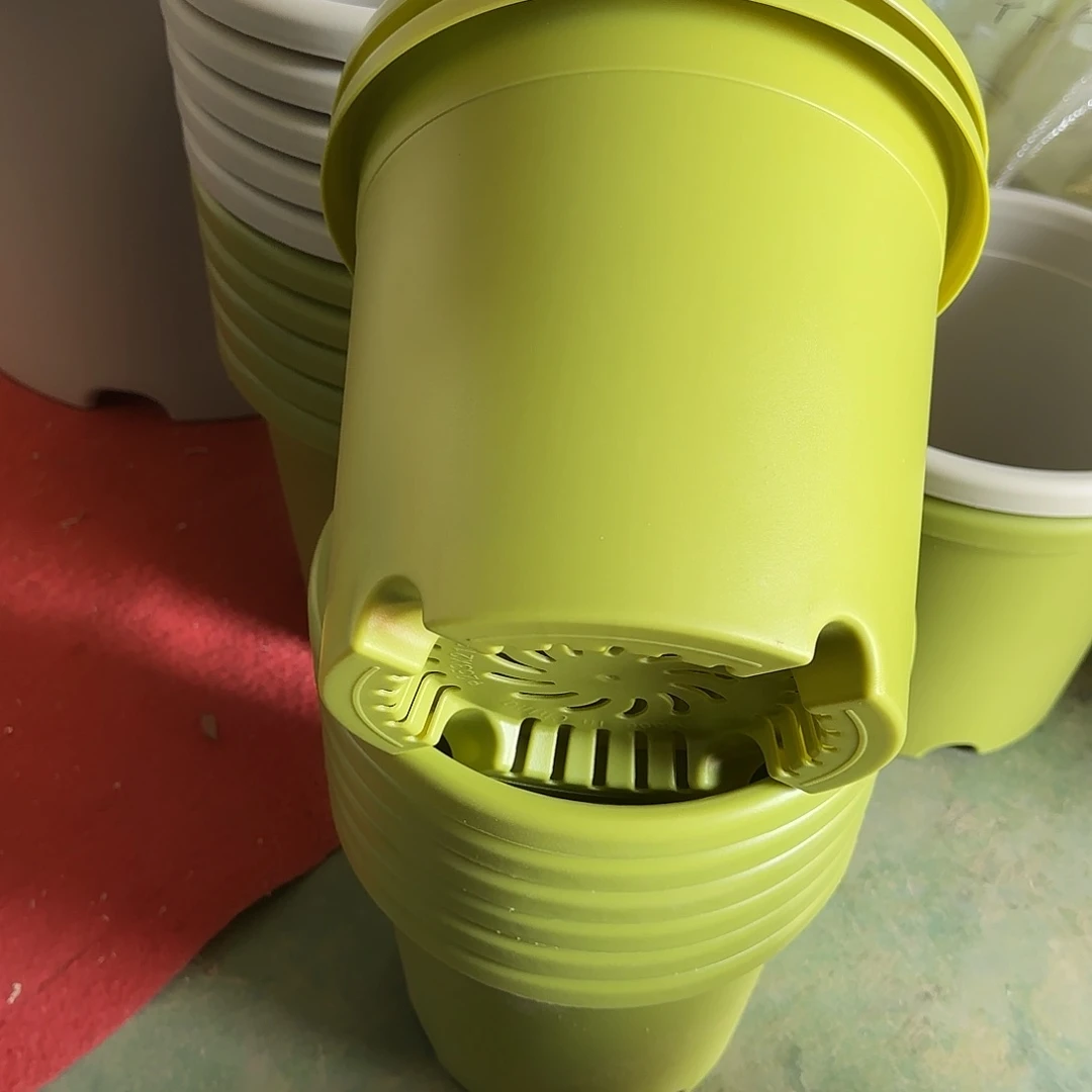 树脂四季4号无托10个果绿微瑕