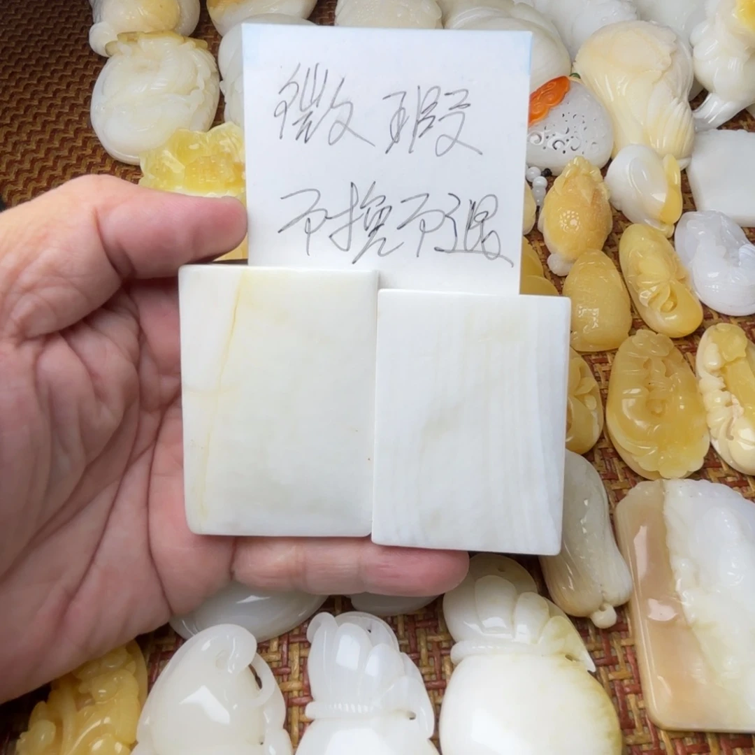非金属贝壳天然贝壳