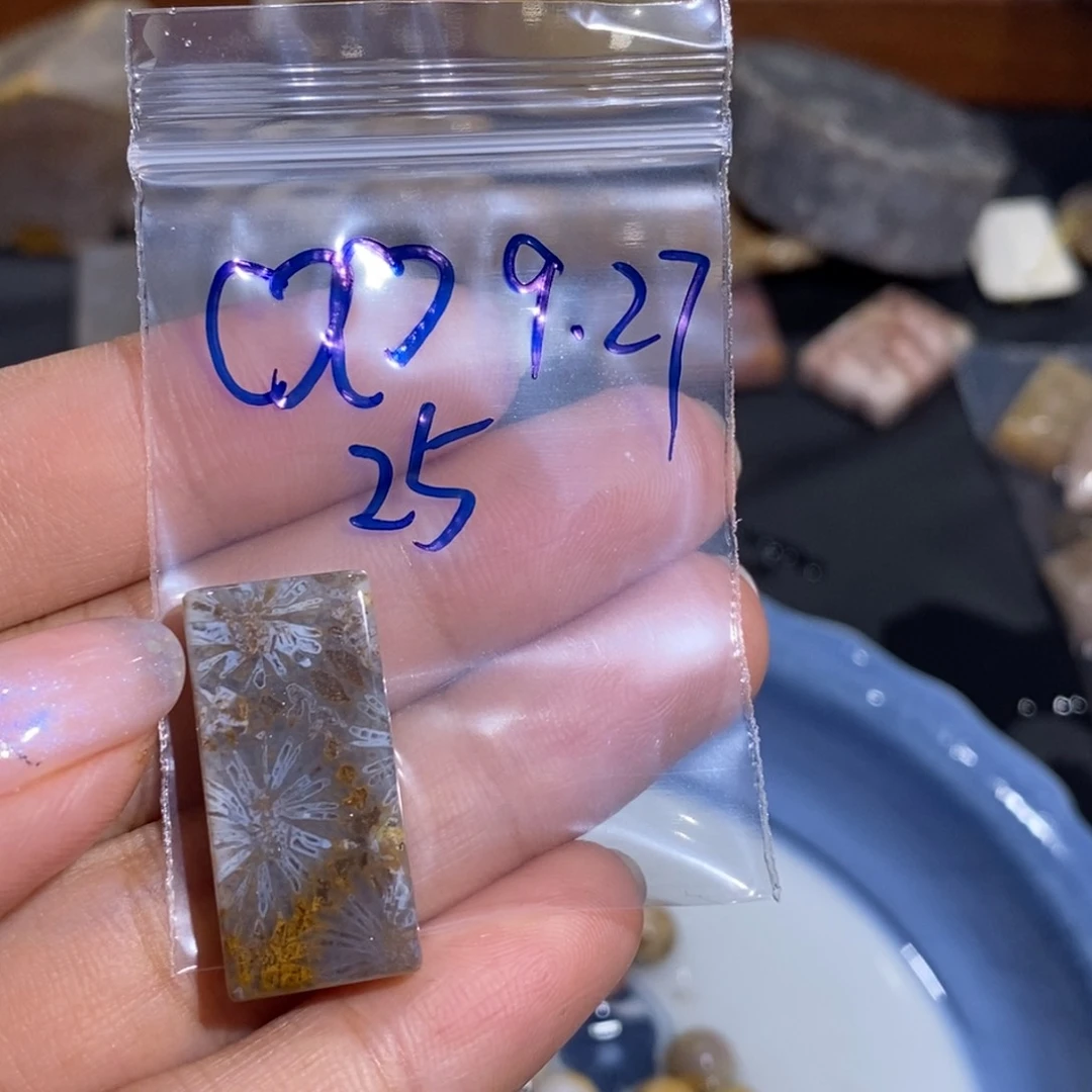 【闪购商品】未镶嵌珊瑚玉硅化玉?***?