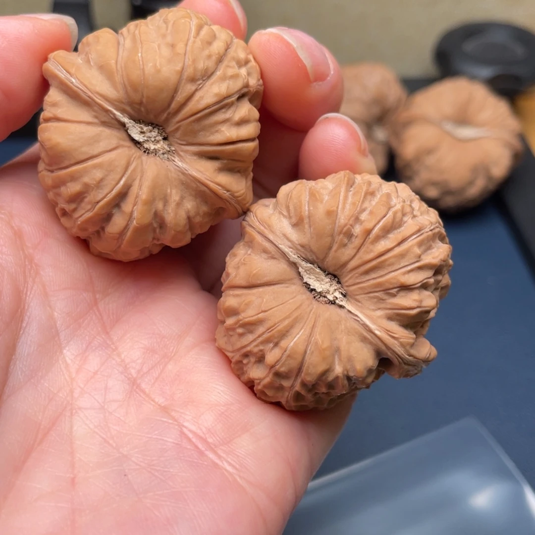 大叶紫檀（黑酸枝木类）南瓜墩37尺