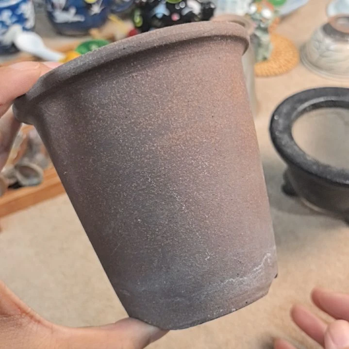 瓷片哈哈哈哈哈哈哈哈哈哈