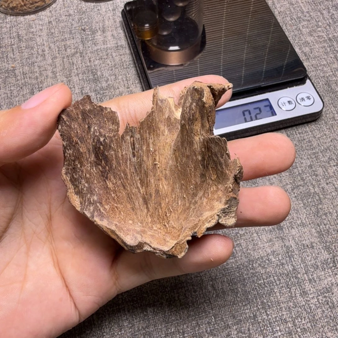 香榧木壳子7克福利