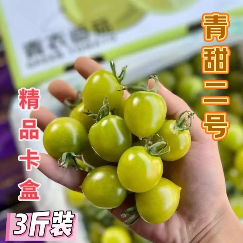 【精品礼盒】高甜度青甜二号西红柿小番茄绿色青口蜜青霞寿光